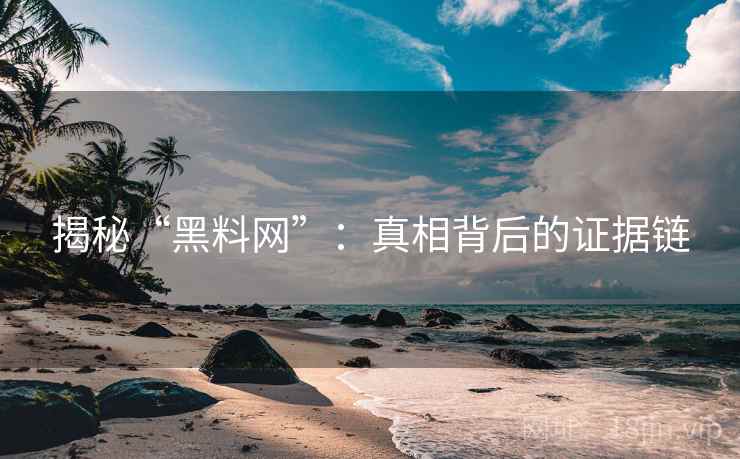 揭秘“黑料网”：真相背后的证据链