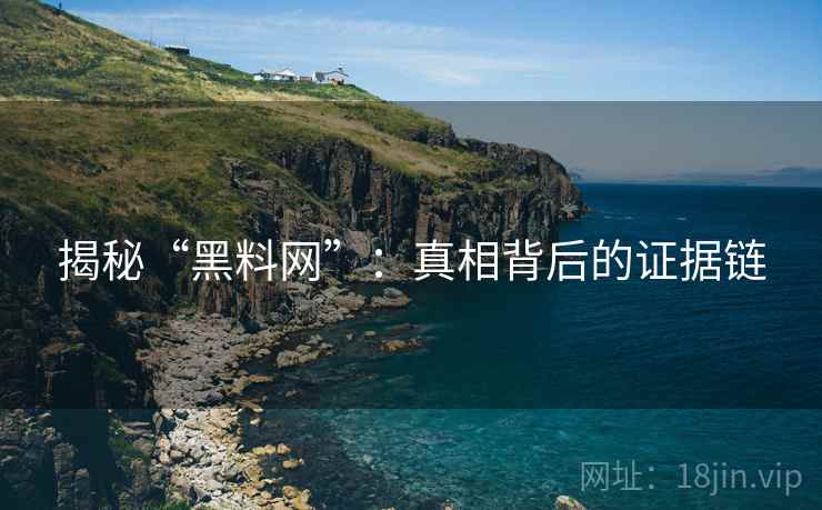 揭秘“黑料网”：真相背后的证据链