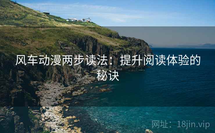 风车动漫两步读法：提升阅读体验的秘诀