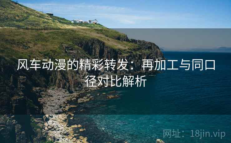 风车动漫的精彩转发：再加工与同口径对比解析
